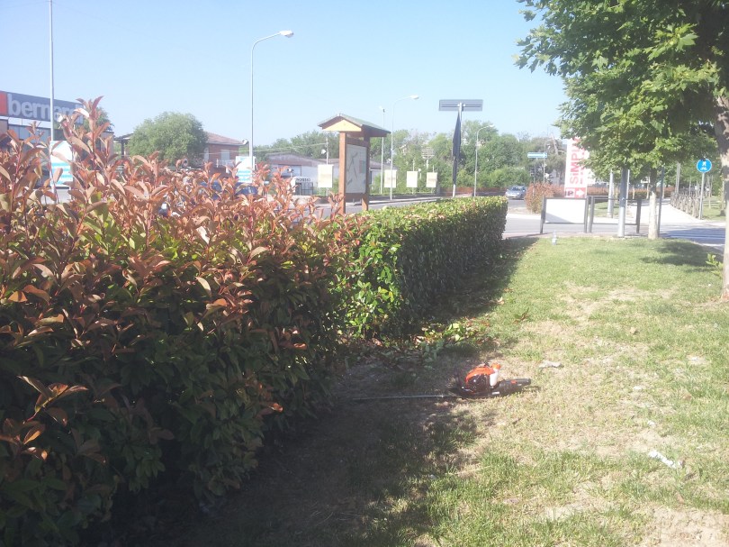 Giardiniere a Macerata