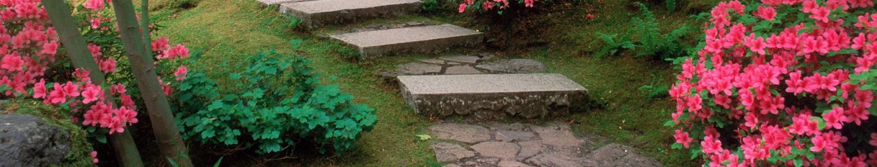 Giardiniere Giardinaggio Macerata (MC)