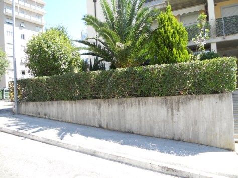 Giardiniere Macerata, Manutenzione Del Verde Macerata,Giardinaggio Macerata