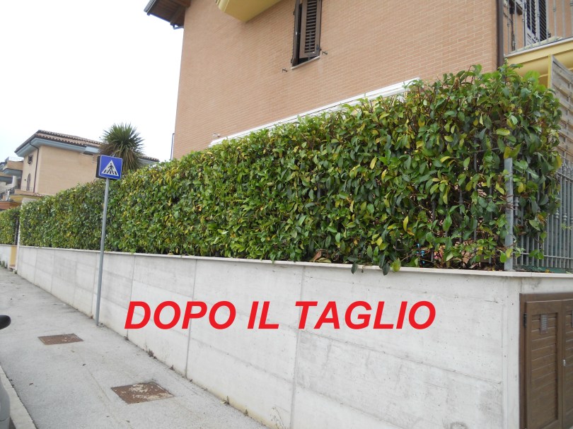 Giardiniere a Macerata, Giardinaggio a Macerata, Manutenzione del verde a Macerata