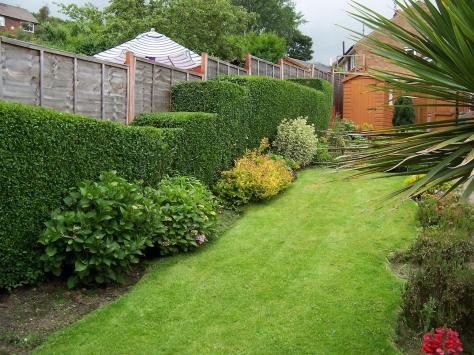 Giardiniere Macerata, Giardinaggio Macerata, Manutenzione del Verde Macerata