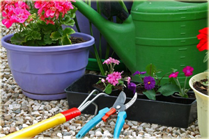 Giardiniere a Macerata, Manutenzione Del Verde a Macerata, Giardinaggio a Macerata