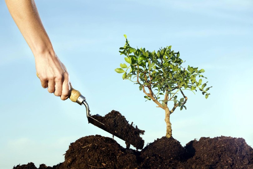Giardiniere a Macerata, Manutenzione Del Verde a Macerata, Giardinaggio a Macerata