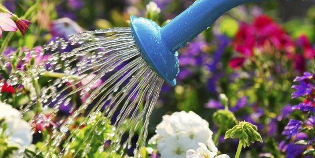 Giardiniere a Macerata, Manutenzione Del Verde a Macerata, Giardinaggio a Macerata