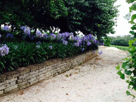 Giardiniere Macerata, Manutenzione Del Verde Macerata,Giardinaggio Macerata