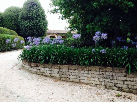 Giardiniere Macerata, Manutenzione Del Verde Macerata,Giardinaggio Macerata