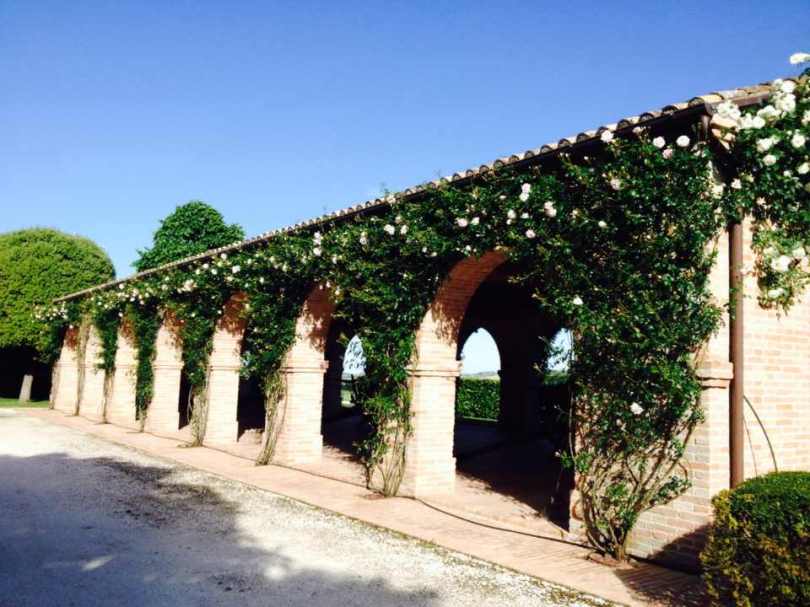 Giardiniere Giardinaggio Macerata