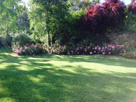 Giardiniere Giardinaggio Macerata