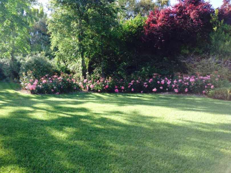 Giardiniere Giardinaggio Macerata