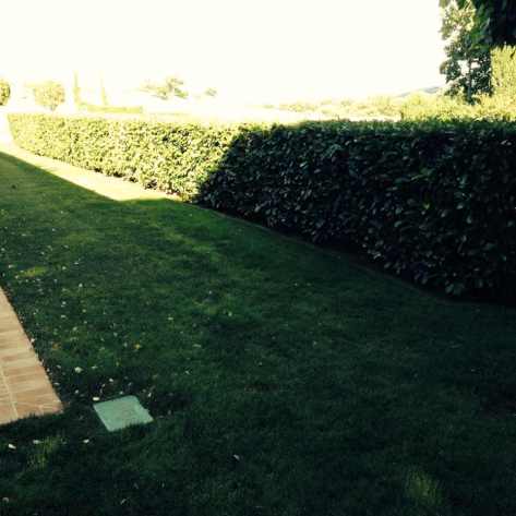 Giardiniere Macerata Giardinaggio  (Prato a Rotoli)