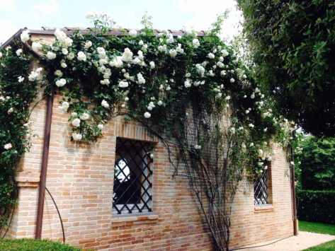 Giardiniere Macerata Giardinaggio