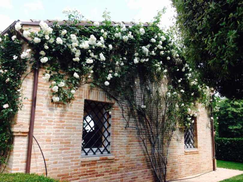 Giardiniere Macerata Giardinaggio