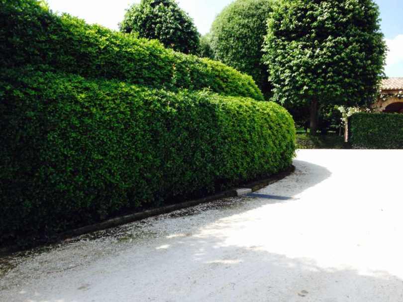 Giardiniere Macerata Giardinaggio