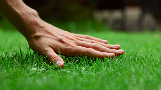 Giardiniere Macerata, Manutenzione Del Verde Macerata,Giardinaggio Macerata