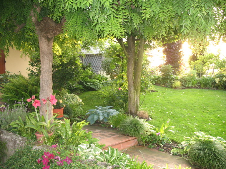 Giardiniere a Macerata, Manutenzione Del Verde Macerata