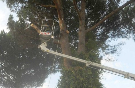 Potatura Alberi Macerata