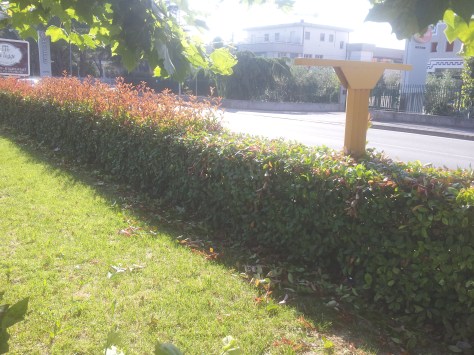 Giardiniere Macerata