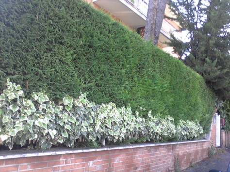 Giardiniere Macerata, Manutenzione Del Verde Macerata,Giardinaggio Macerata