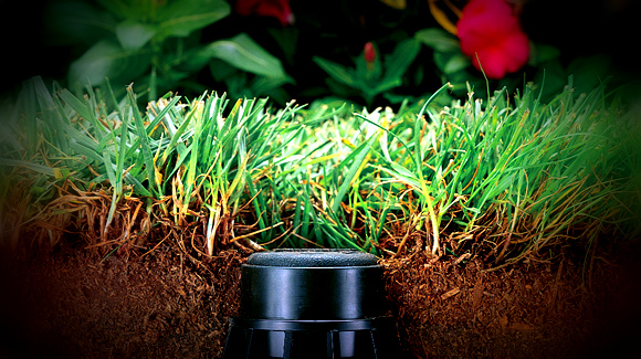 Giardiniere a Macerata, Giardinaggio a Macerata, Impianti Irrigazione