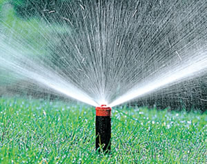 Giardiniere a Macerata