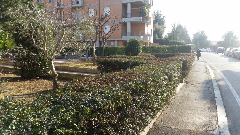 Taglio siepi Macerata, Potatura alberi Macerata
