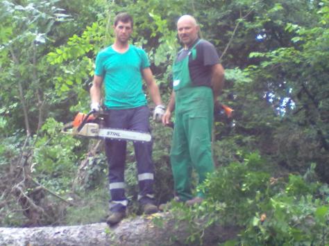 Abbattimenti Alberi Macerata