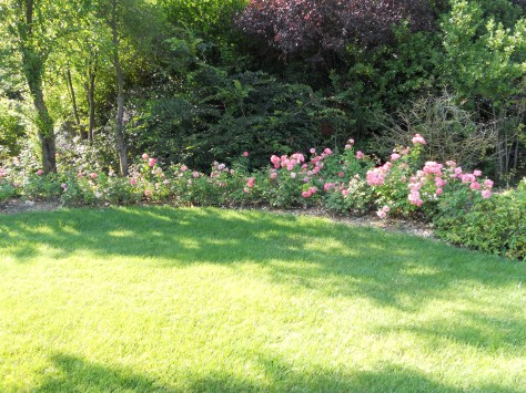 Giardiniere a Macerata, Giardinaggio  a Macerata