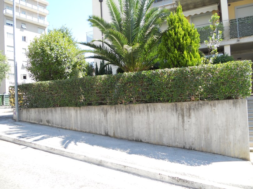 Giardiniere Macerata, Giardinaggio a Macerata, Manutenzione Del Verde Macerata