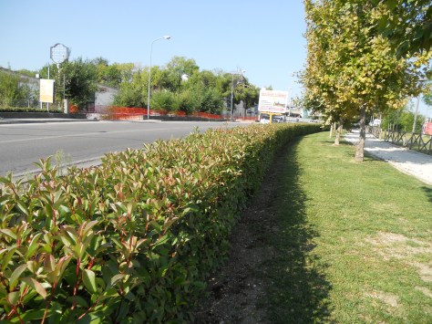 Giardiniere a Macerata, Manutenzione Del Verde Macerata,Giardinaggio Macerata