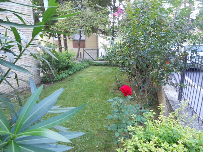 Giardinaggio Macerata, Giardiniere a Macerata, Manutenzione del verde macerata, Potatura alberi Macerata, Impresa di giardinaggio a Macerata