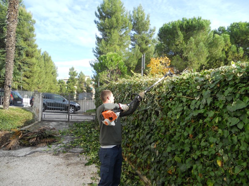 Potatura alberi macerata, potatura piante macerata