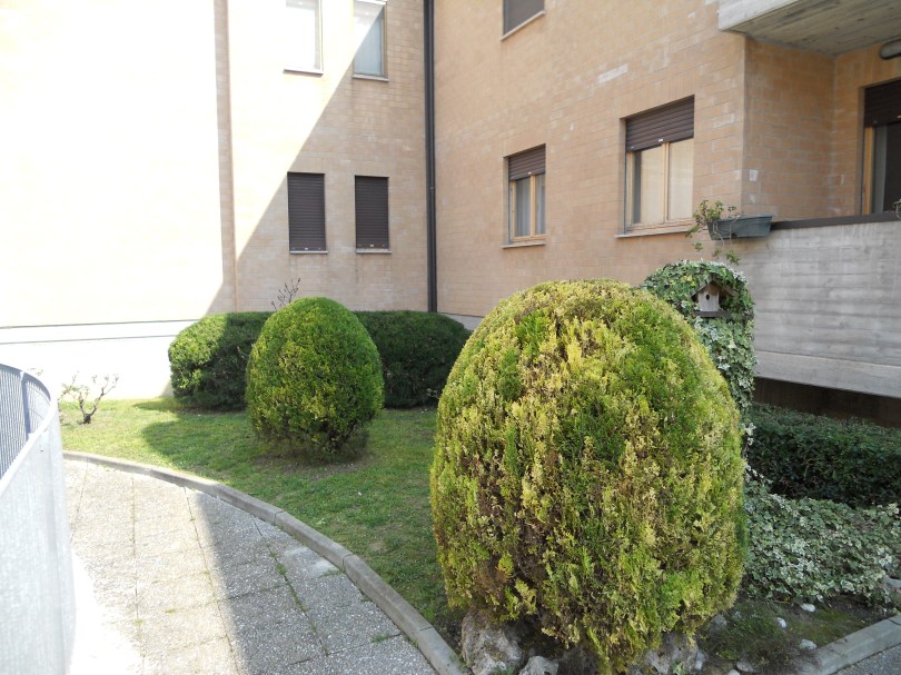 Giardinaggio a Sforzacosta, Giardiniere a Sforzacosta