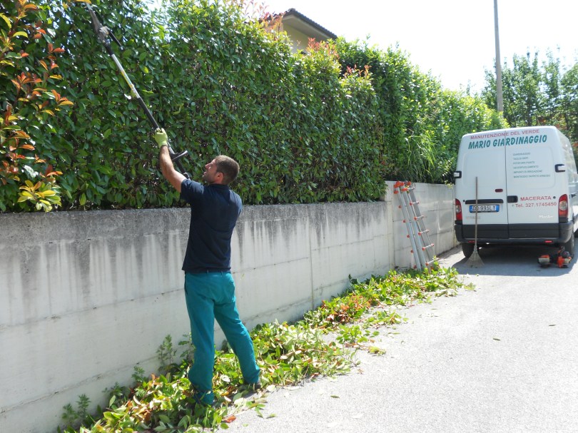 Taglio siepi Macerata, Giardiniere a Macerata