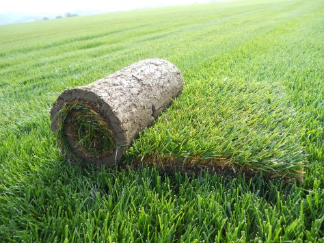 Giardiniere a Macerata, Giardinaggio Macerata