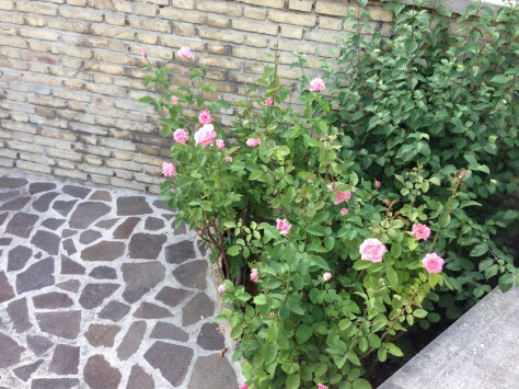 Giardiniere a Macerata, Giardinaggio  a Macerata