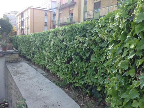 Giardiniere a Macerata, Manutenzione Del Verde Macerata,Giardinaggio Macerata