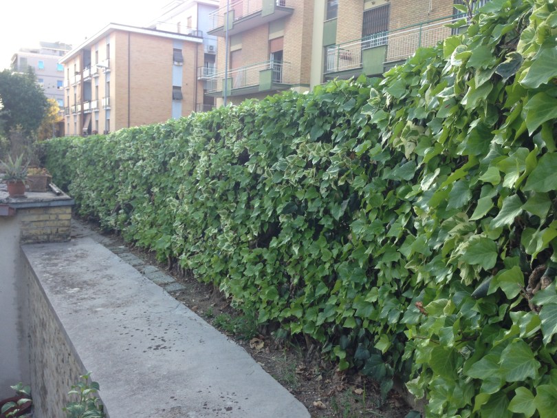 Giardiniere a Macerata, Manutenzione Del Verde Macerata,Giardinaggio Macerata