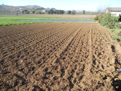 Progettazione giardini Macerata, Creazione giardini Macerata