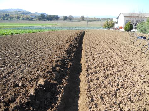 Progettazione giardini Macerata, Creazione giardini Macerata