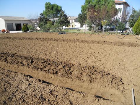 Progettazione giardini Macerata, Creazione giardini Macerata