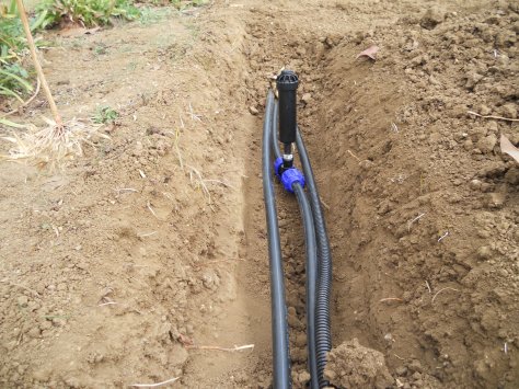 Progettazione giardini Macerata, Creazione giardini Macerata