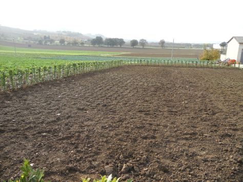Progettazione giardini Macerata, Creazione giardini Macerata